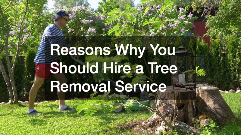 Reasons Why You Should Hire a Tree Removal Service